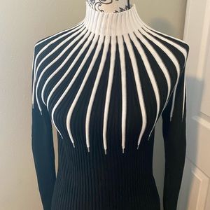 Fashion Bodycon Black&White Autumn&WinterFemale Turleneck Sexy Sweater